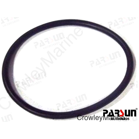 O-RING C (PAF25-05050015)