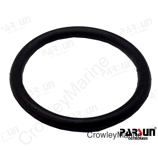 O-RING