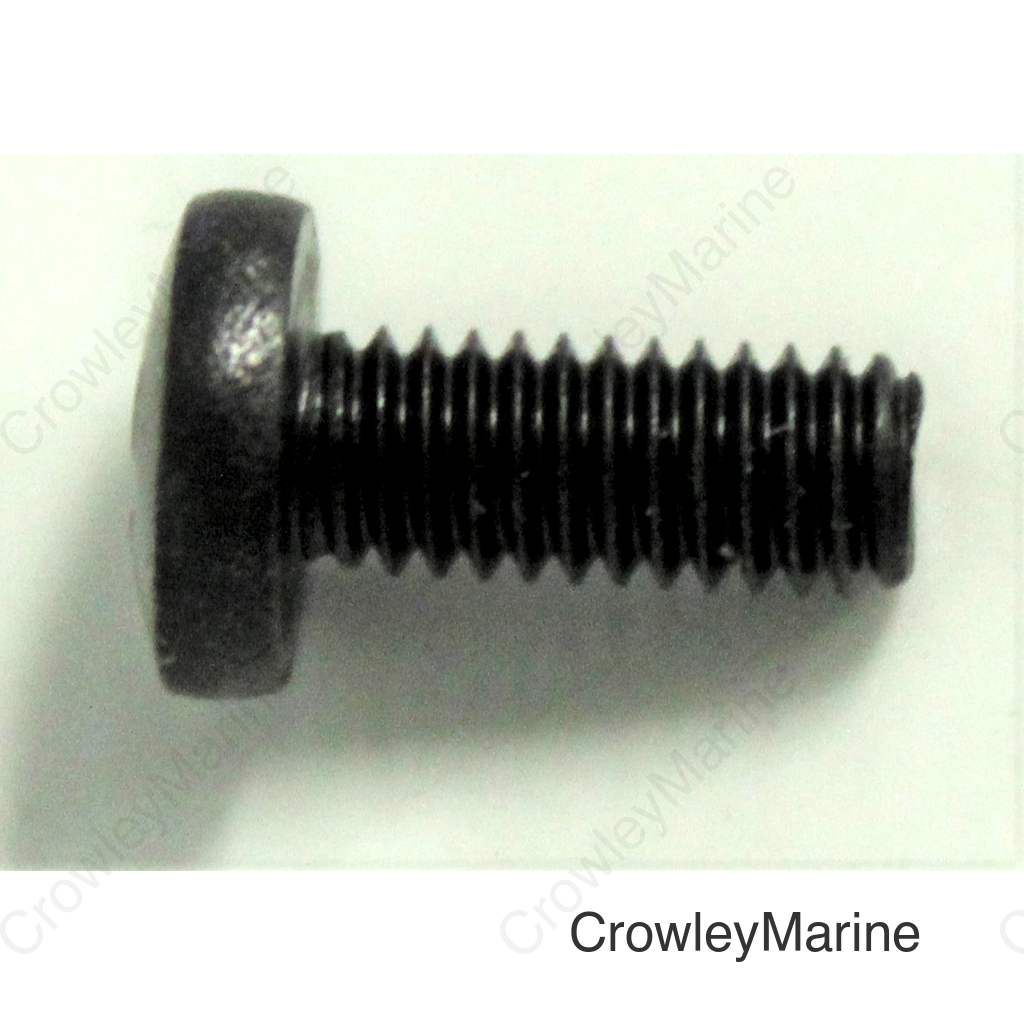 SCREW, PAN (4X10)