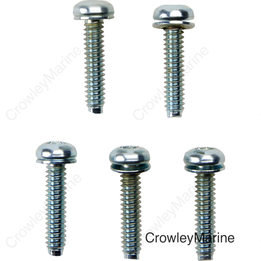 SCREW EFI MNT(1081A) 5PK