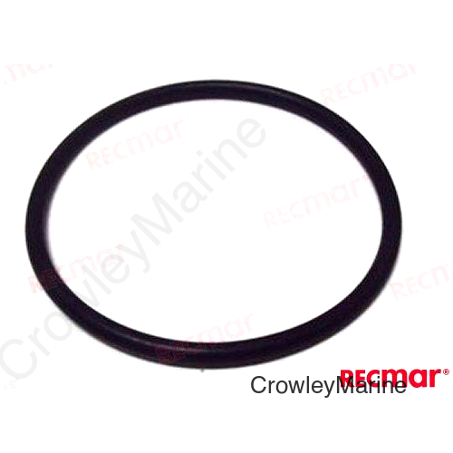 O-RING (REC93210-45161)