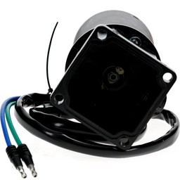 Trim Power Motor thumbnail-8