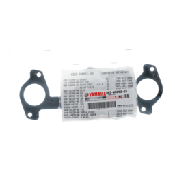 Carburetor Repair Kit thumbnail-29
