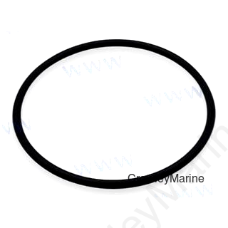 O-RING 67.8X3.1