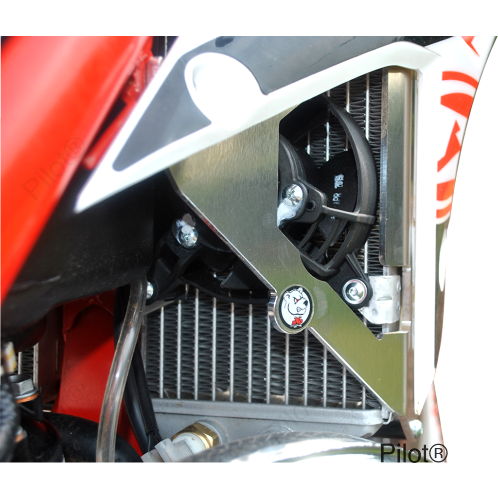 Radiator Braces - Beta
