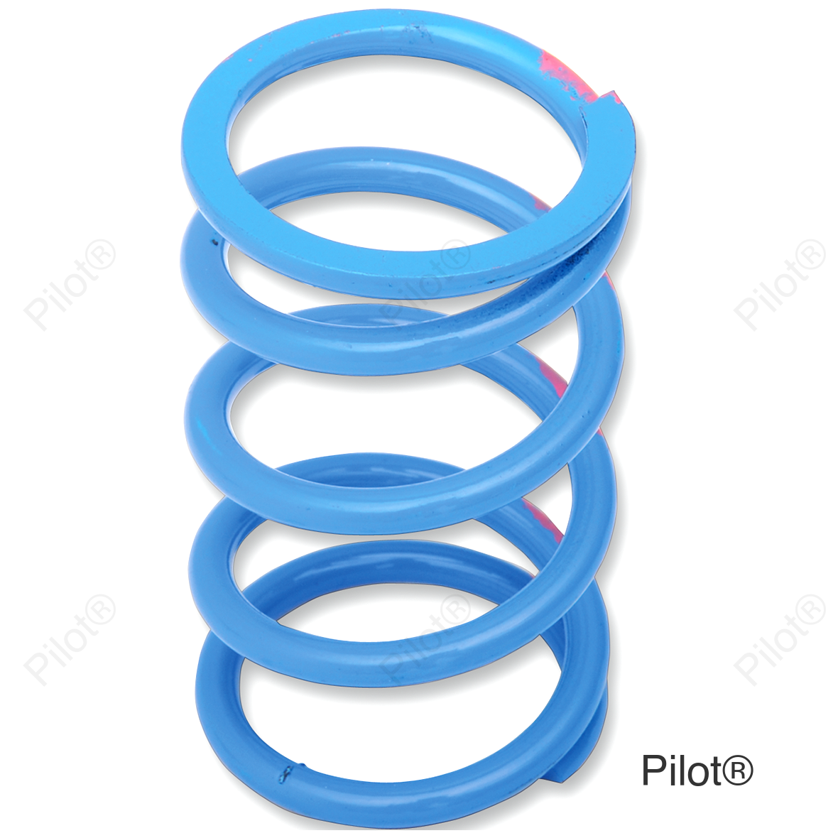 Primary Spring