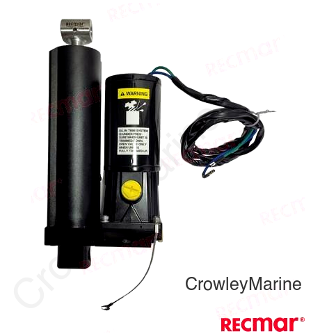 POWER TRIM ASSY