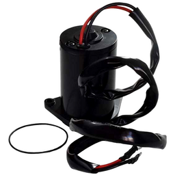 Trim Motor
