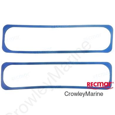 GASKET:VALVE CVR (FEL17931)