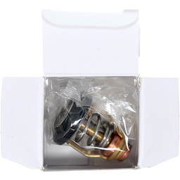 Thermostat (60 Degrees C)(140 Degrees F) thumbnail-2