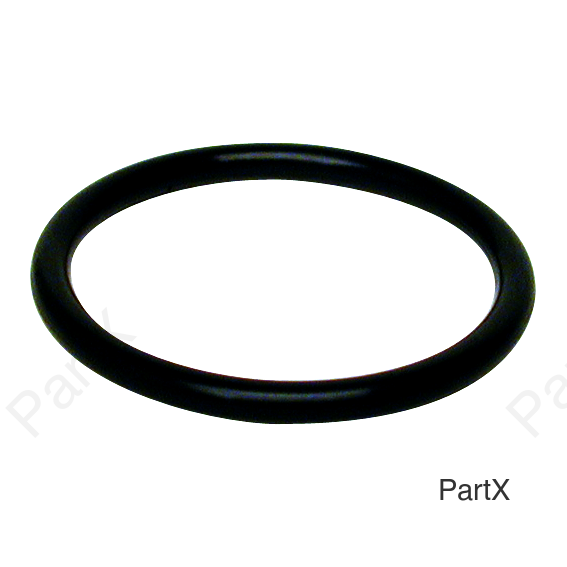O-Ring (84200)