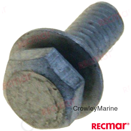 SCREW (REC09116-06094)