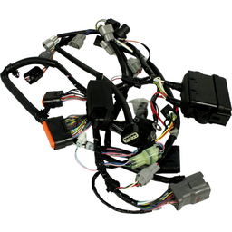 HARNESS ASSY,WI