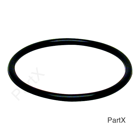 O-Ring (84211)