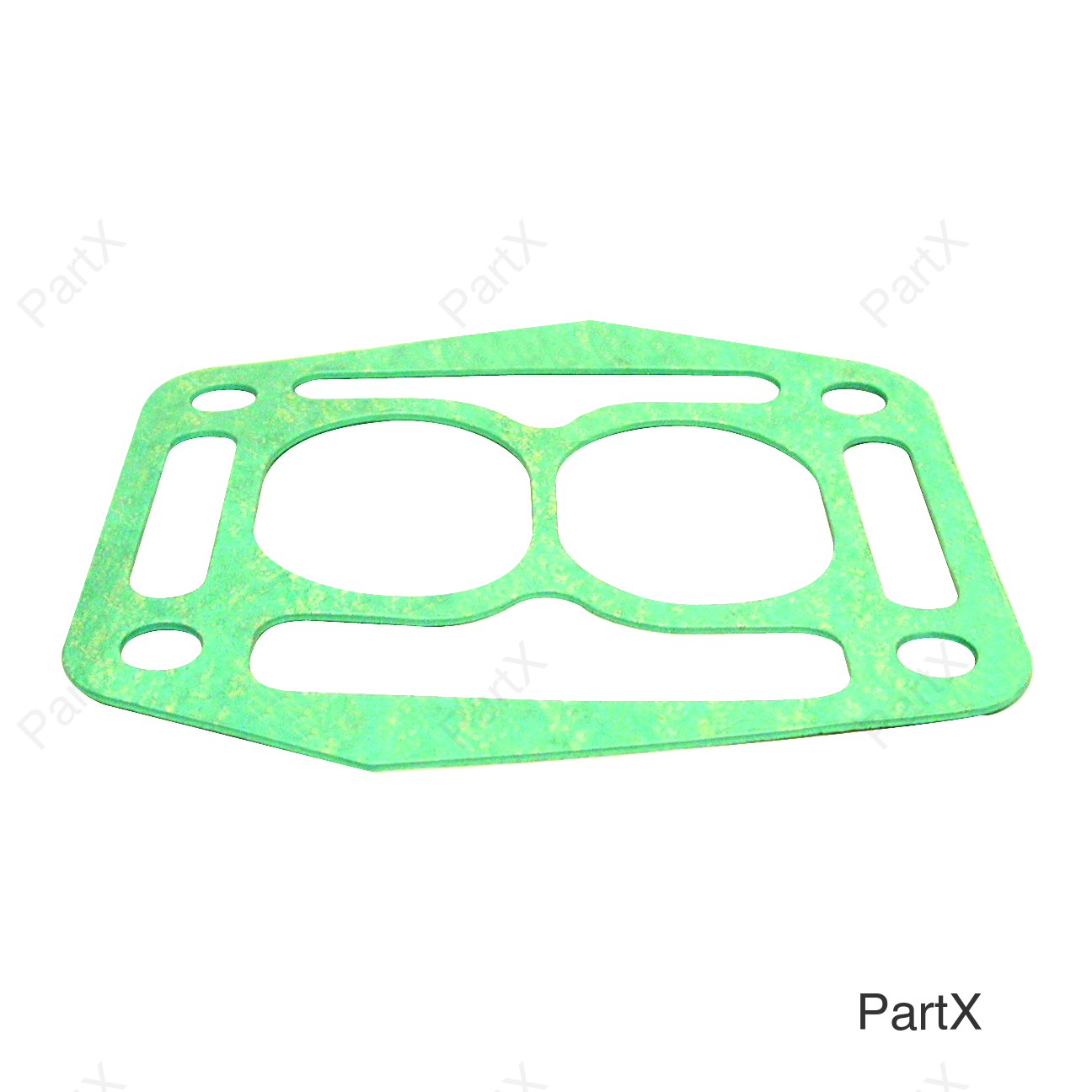 Gasket (33030)