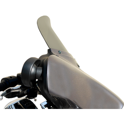 Windshield - Dark Smoke - 9"