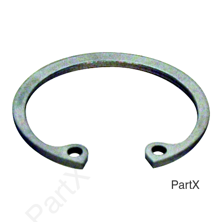 Retaining Ring (21779)
