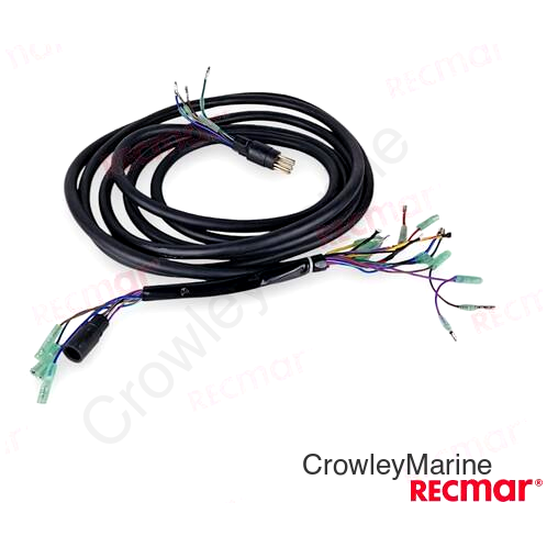 EXTENSION 10PINS WIRE HARNESS (6M)