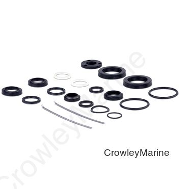 SEAL KIT 200-11 BA Standard TR TM (HS5185)