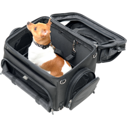 Pet Voyager thumbnail-7