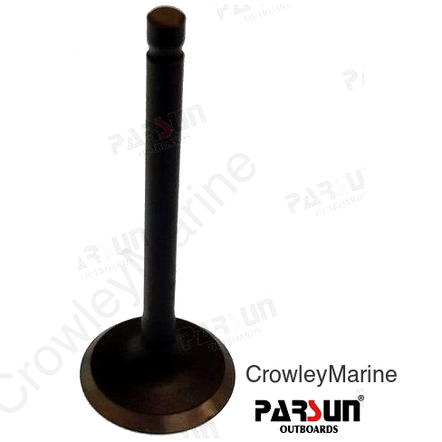 VALVE, INTAKE (PAF15-07040001)