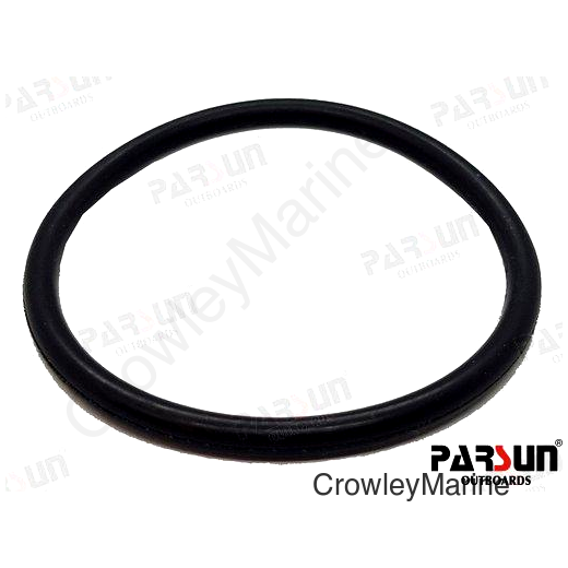 O-RING 24-031