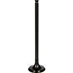 Intake Valve