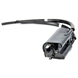 Ignition Coil Assembly