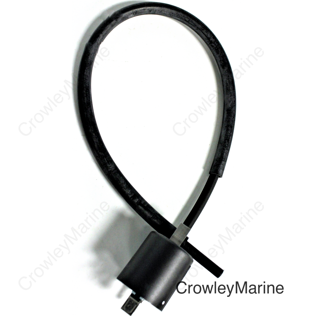 Ignition Coil Assembly
