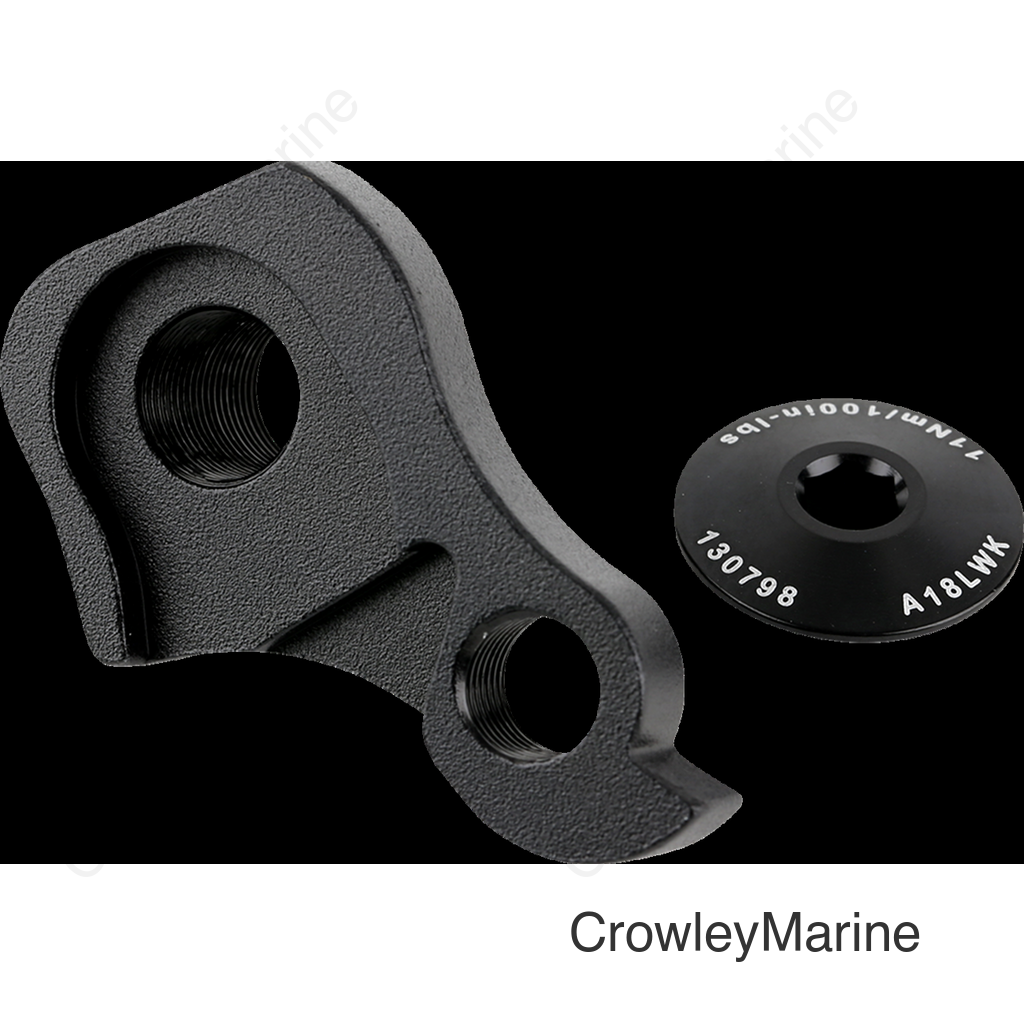 Derailleur Hanger Kit - Black Cap