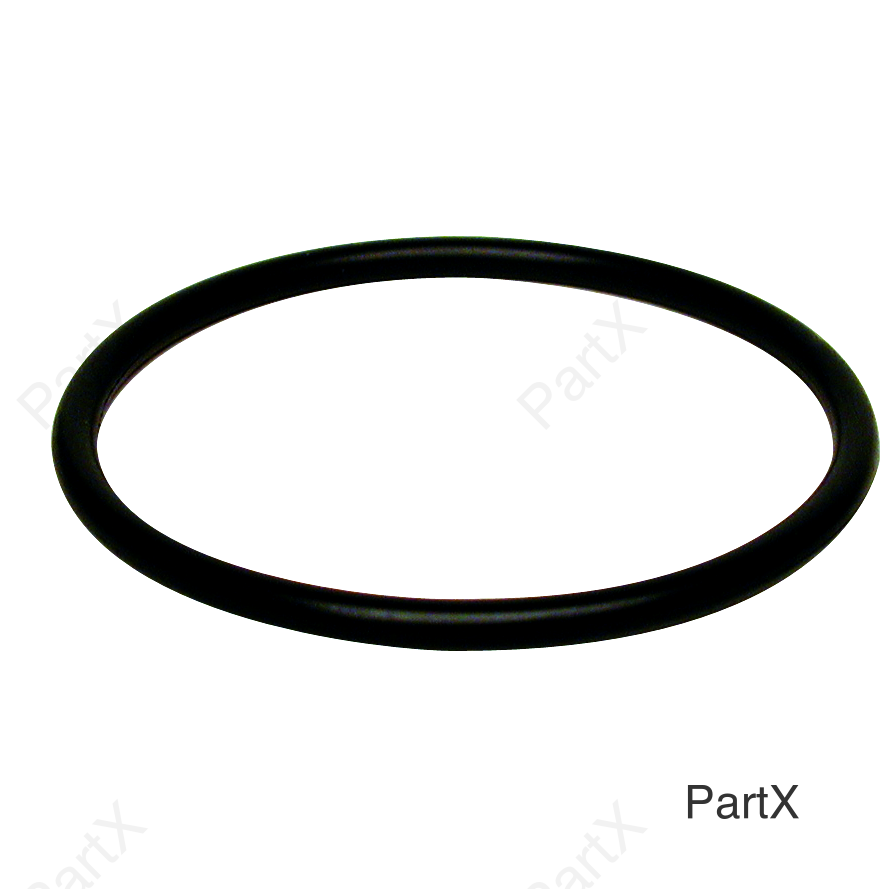 O-Ring (84275)