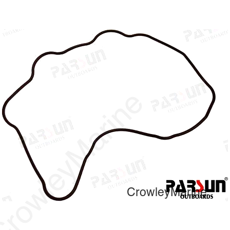 SEAL RING,CYLINDER HEAD COVER (PAF20-05040002)