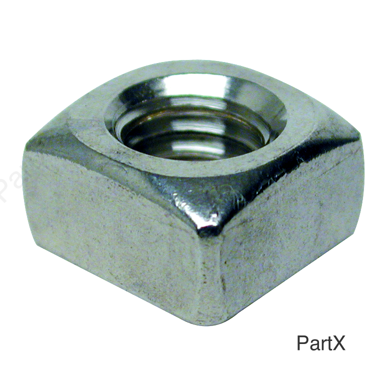 Nut (19352)