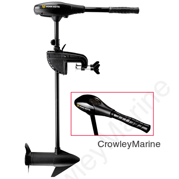 Endura C2; 50 lbs., 36"L