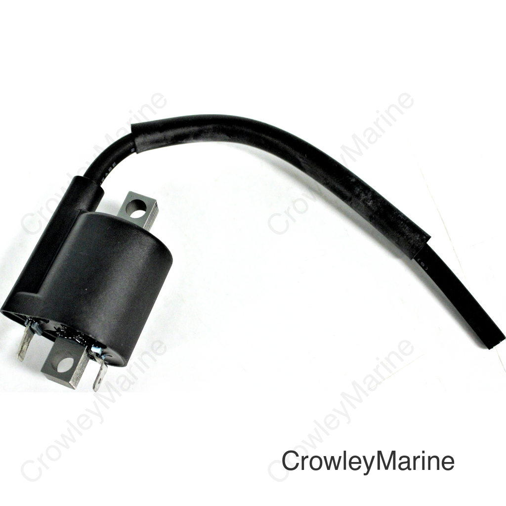 IGNITION COIL ASSY