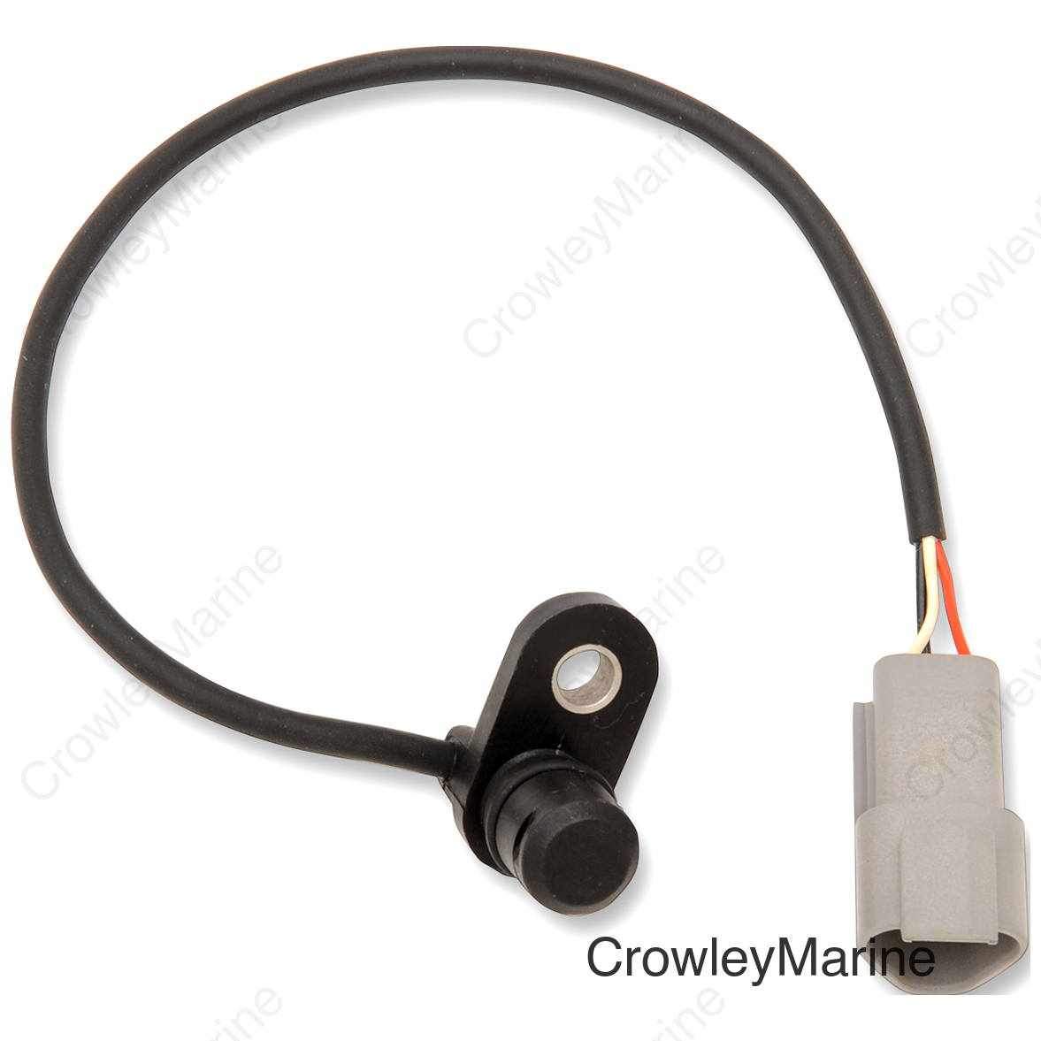 SENSOR SPEEDO 00-06