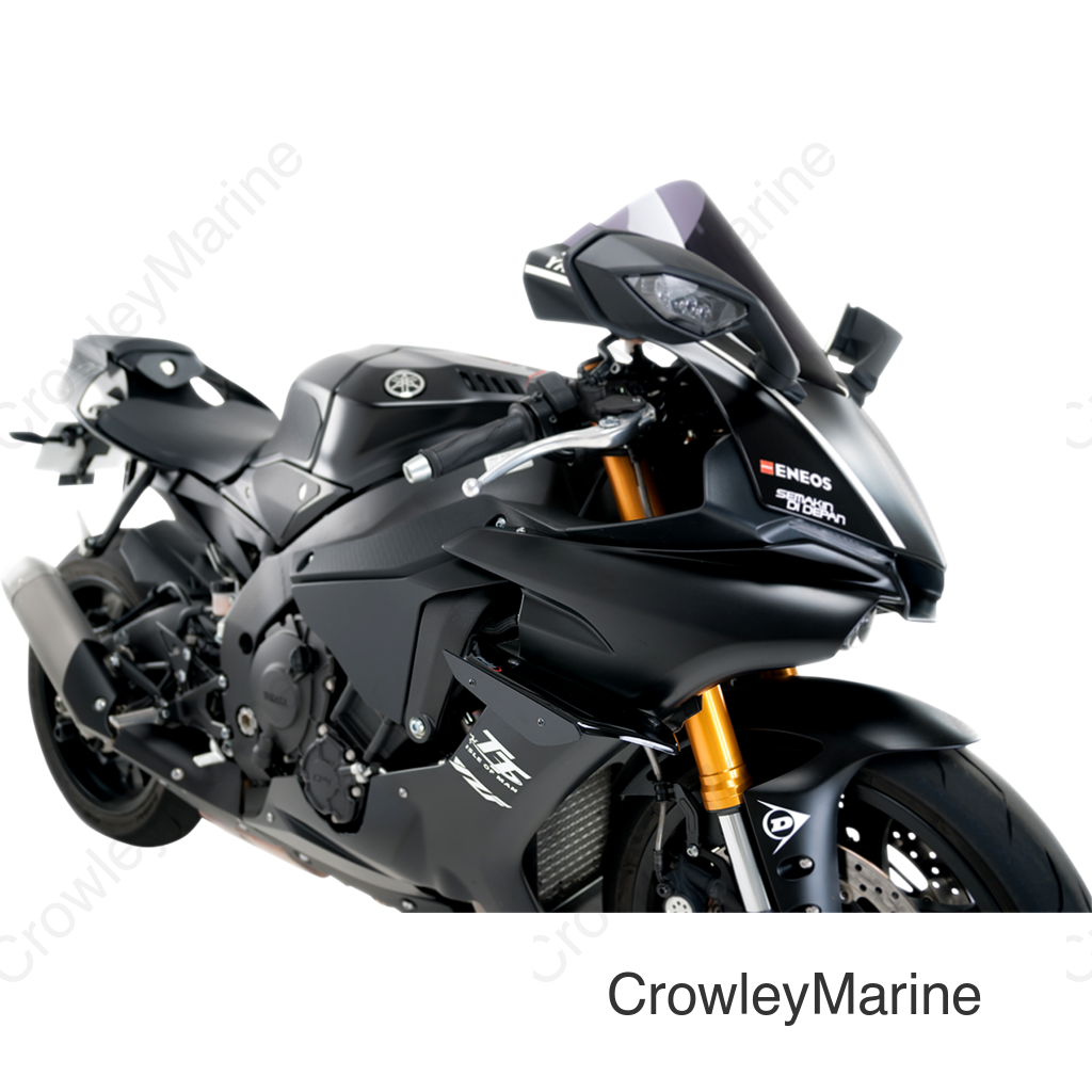 Winglets - YZFR1