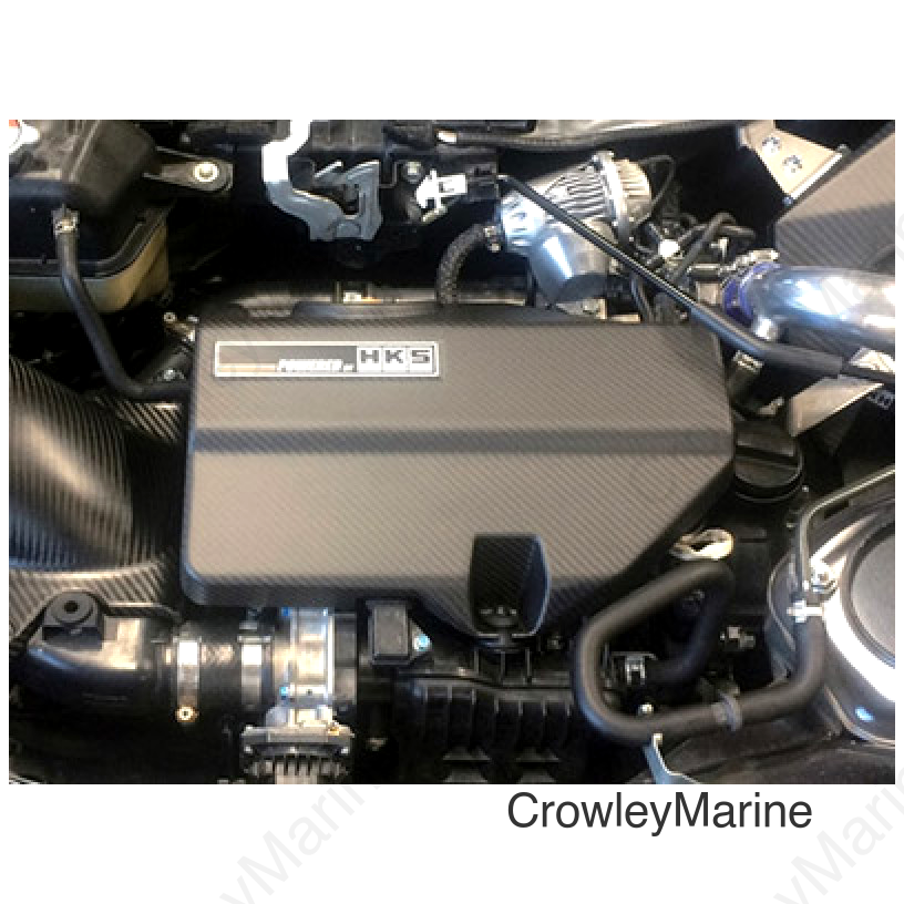 HKS DryCarbon Engine Cover S660 JW5