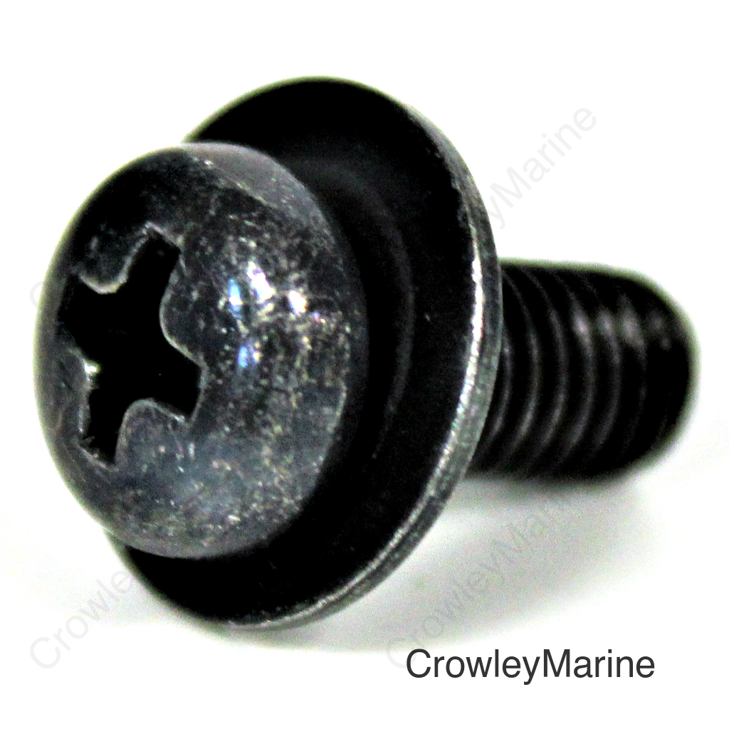 Screw With Washer