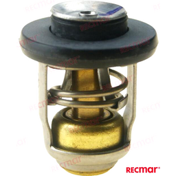 THERMOSTAT 60DG (REC855676002)