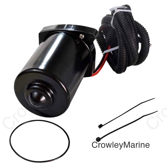 Tilt & Trim Motor