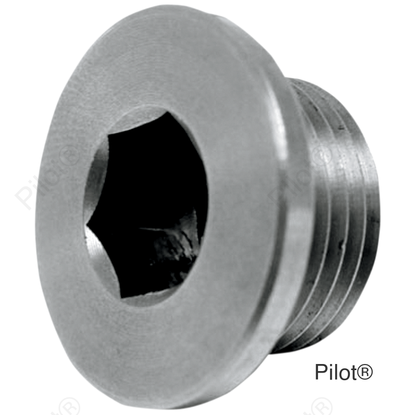 O2 Sensor Bung Plug