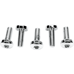 BRAKE ROTOR HARDWARE REAR TORX SCREW KIT thumbnail-0