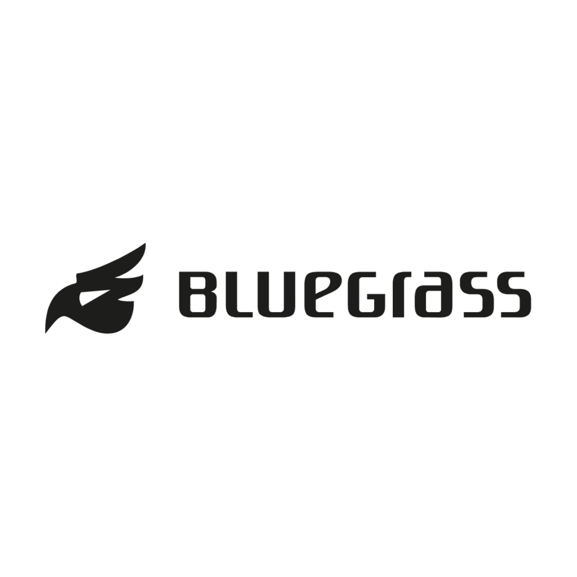 Bluegrass Legit Helmet - White Iridescent Matte Medium