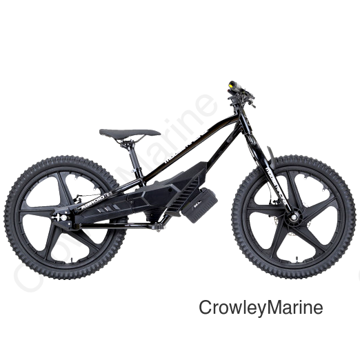 AGROID RS-20 E-BALANCE BIKE