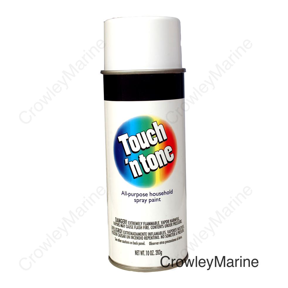 10OZ PAINT GLOSS WHITE