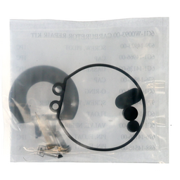 Carburetor Service Kit (40681) thumbnail-4