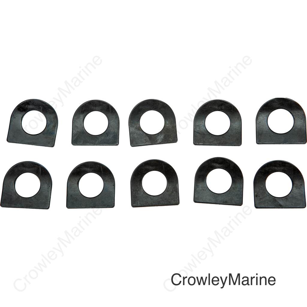 FOOTPEG SPRING WASHERS 10/PK