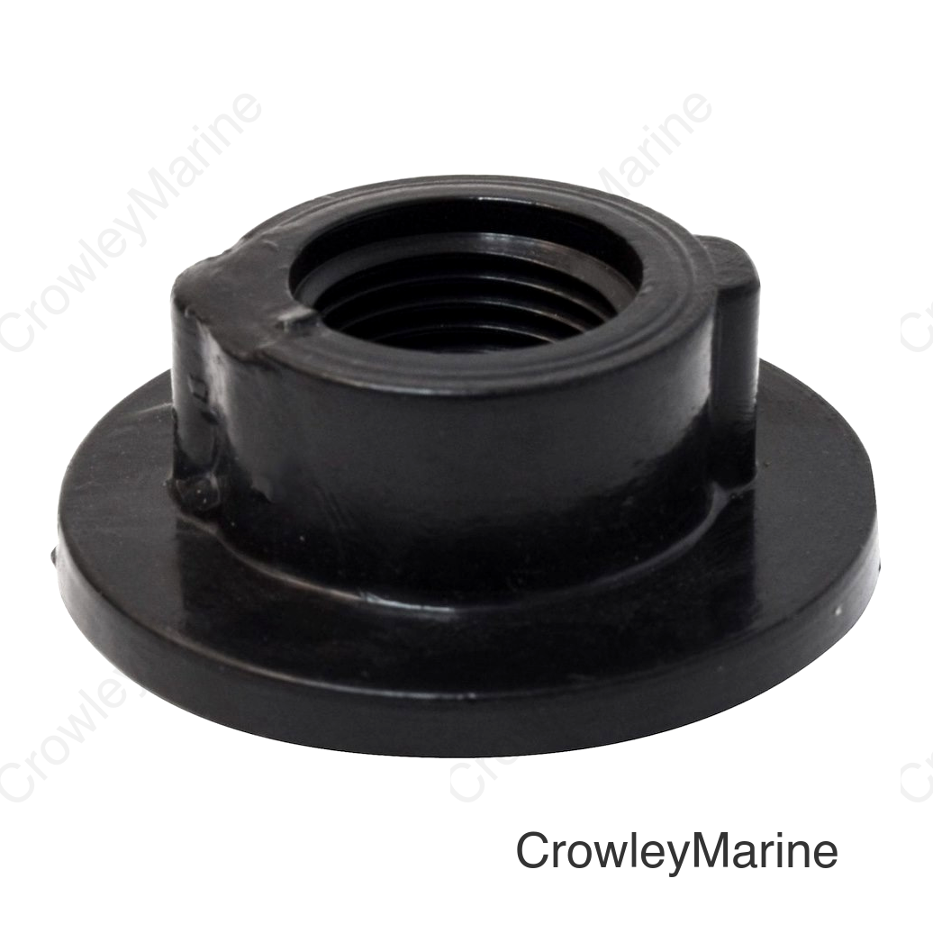 DRAIN NUT  3/8' FPT