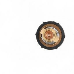 Thermostat thumbnail-2
